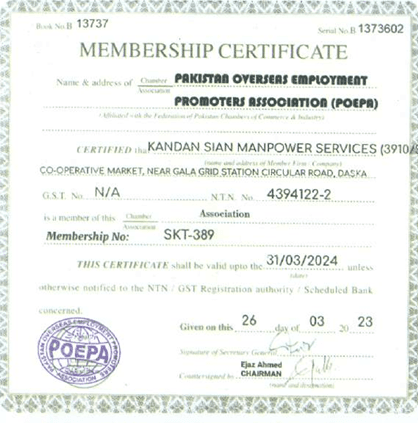 Saudi visit visa documentation support example